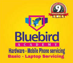 Bluebird academy bluebird academy photo 6